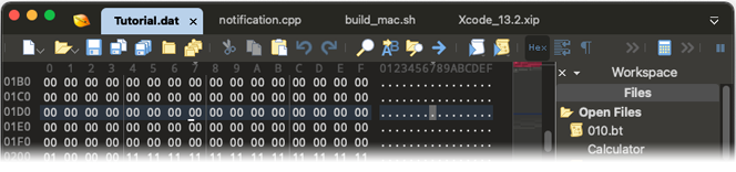 010 Editor macOS ARM 支持